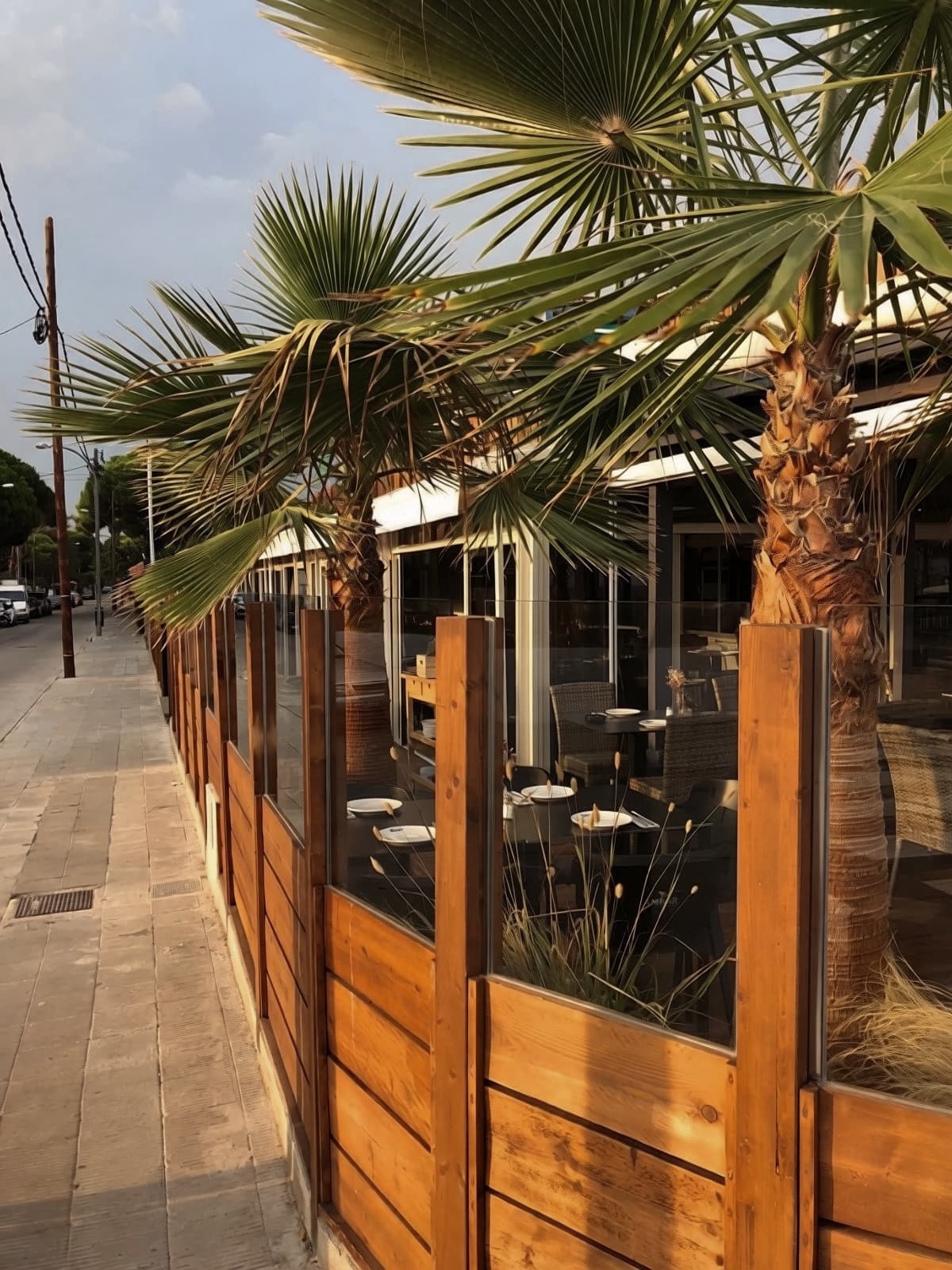 La terraza desde la calle, protegida por la valla de madera y vidrio entre las palmeras
